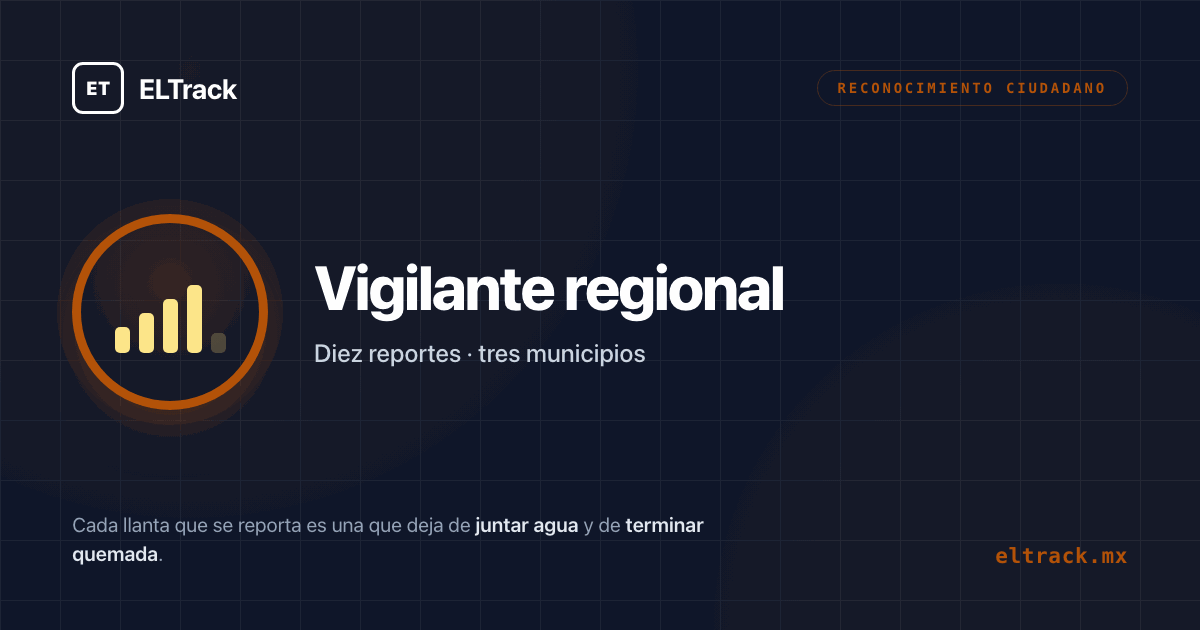 Vigilante regional